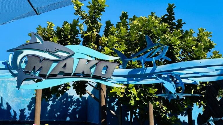 SeaWorld Orlando reopens Mako after temporary closure following Six Flags death