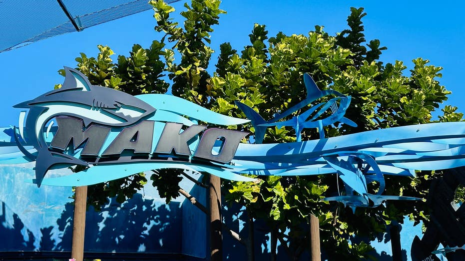 SeaWorld Orlando reopens Mako after temporary closure following Six Flags death