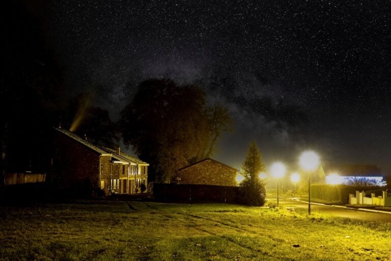 After dark, the backyard gets interesting